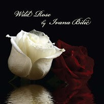 Wild Rose