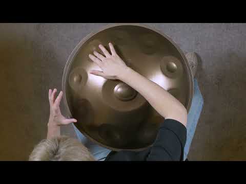 LYハンドパンD kurd 10（D Kurd 10 Handpan - Stainless Steel