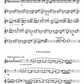 【Romanian Folk Dances】: Duet for Flute and Marimba - Arranged by Joanna Wu & Georgi Videnov